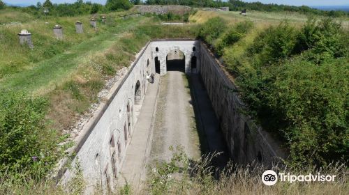 Fort du Mont-Vaudois