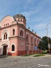 Byvala Synagoga / Okresni Knihovna