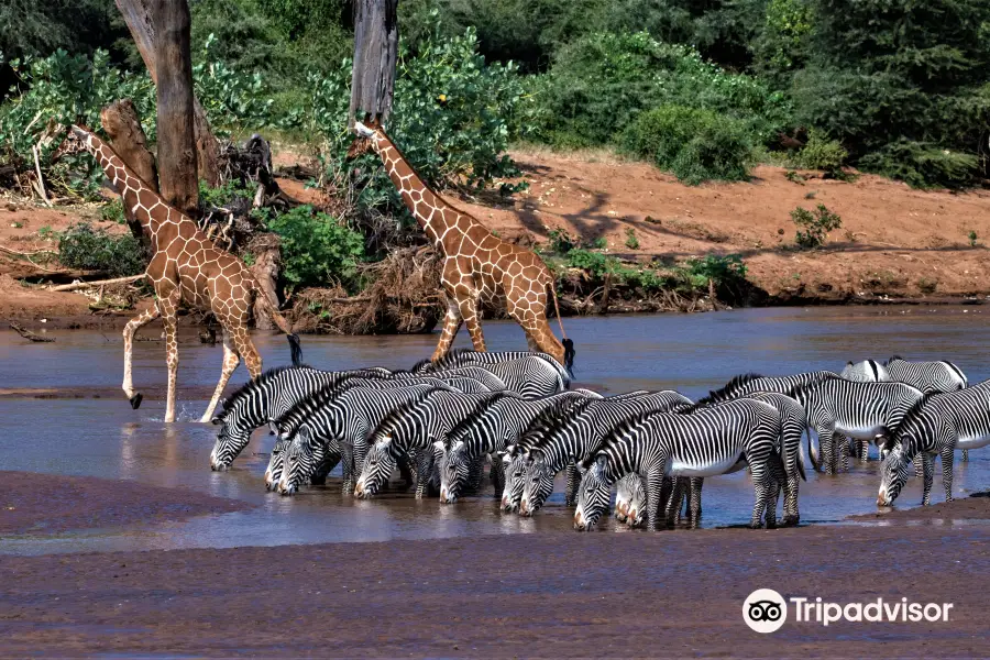 Nature's Wonderland Safaris Kenya