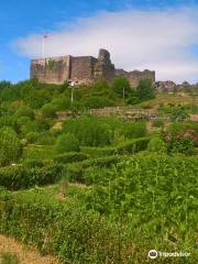 Chateau d'Epinal