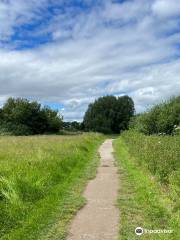 Alney Island Nature Reserve