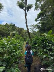 Hidden Valley Permaculture Farm