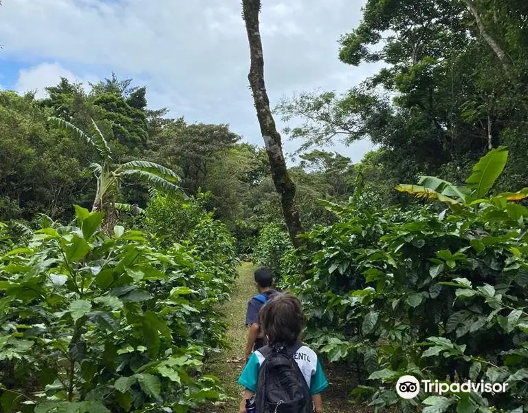 Hidden Valley Permaculture Farm