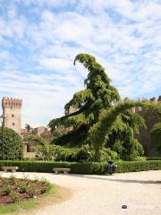 Castello Carrarese