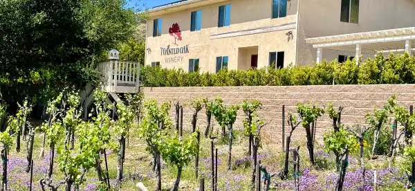 Hotels in Fallbrook