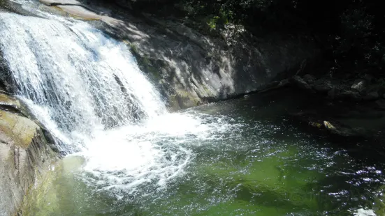 芳台山自然休養林