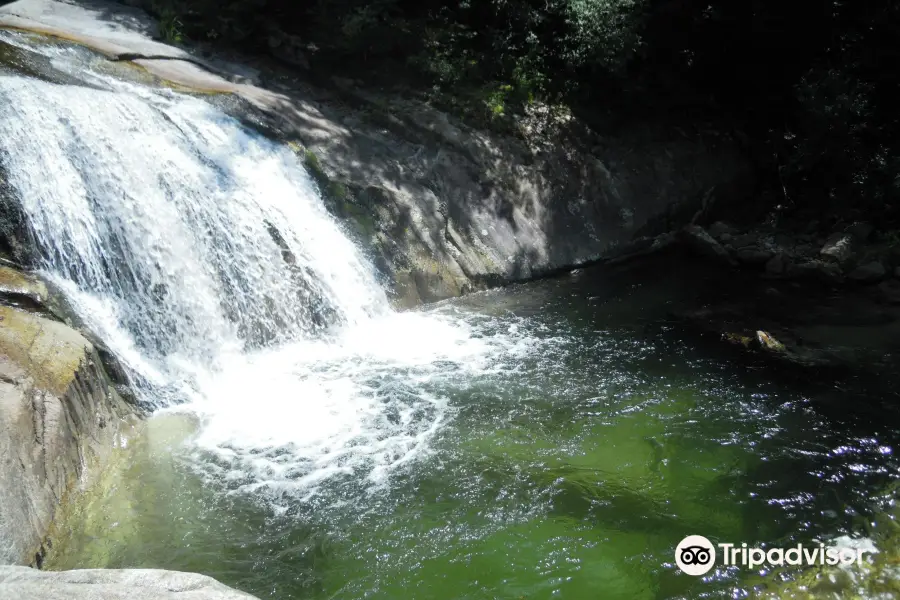 芳台山自然休養林