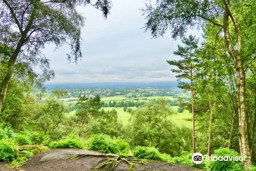 Alderley Edge Woodland Walk