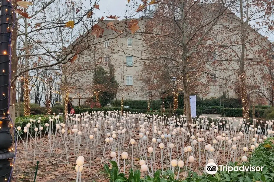 Advent in Zagreb