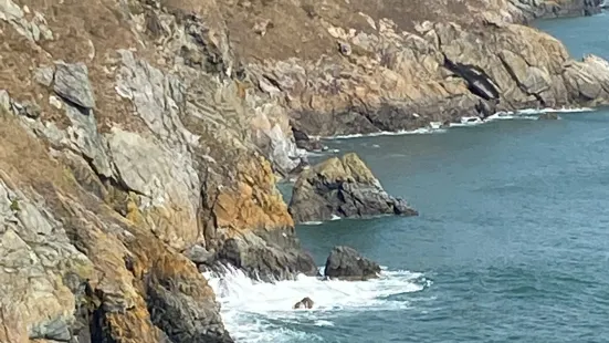 Howth Coastal Walk