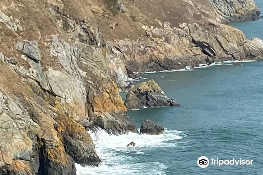 Howth Coastal Walk