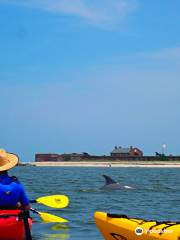 Amelia Island Kayak Excursions