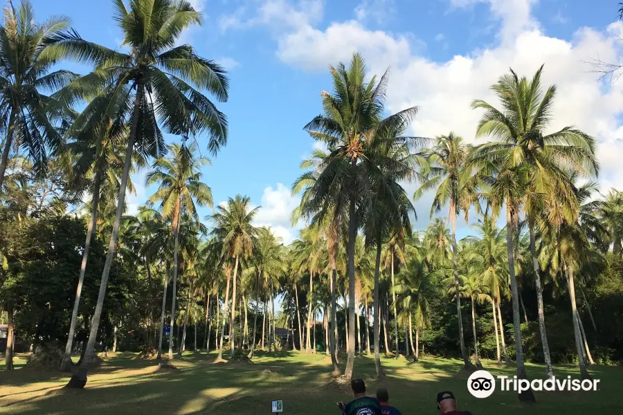 Samui Disc Golf