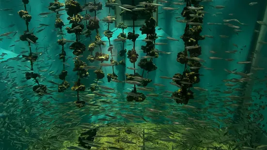 みやじマリン 宮島水族館