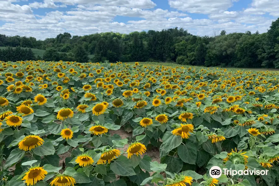 Brantwood Farms