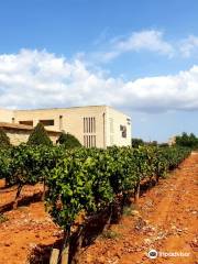 Bodegas Macià Batle