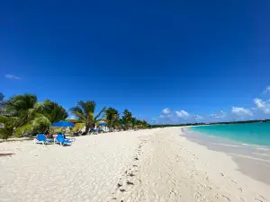 Rendezvous Bay Beach