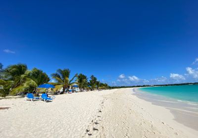 Rendezvous Bay Beach