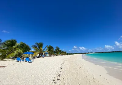 Blowing Point Village
