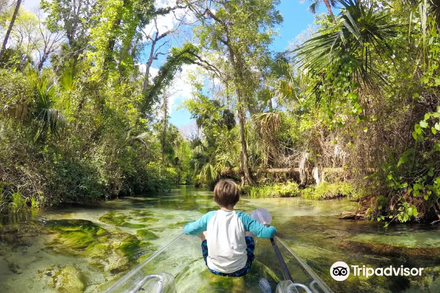 Get Up And Go Kayaking