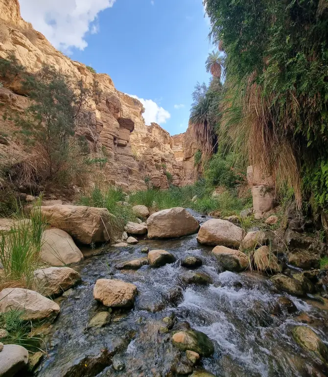 Ghawr Almazra'a Sub-District