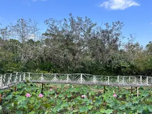 Belize Spice Farm & Botanical Gardens