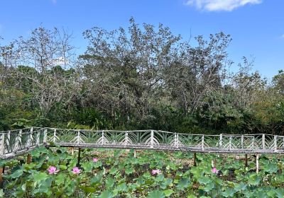 Belize Spice Farm & Botanical Gardens