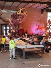 Museum of Natural Sciences