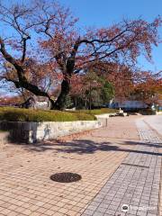 Kanazawa Municipal Athletic Field