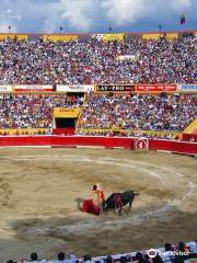 Plaza de Toros Roman Eduardo Sandia