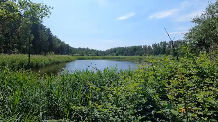 Hotels in der Nähe von Naturschutzgebiet Königsbrücker Heide