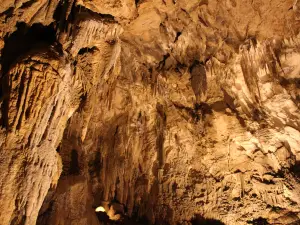 Ngarua Caves