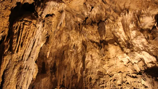 Ngarua Caves