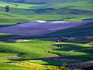 Steptoe Butte State Park