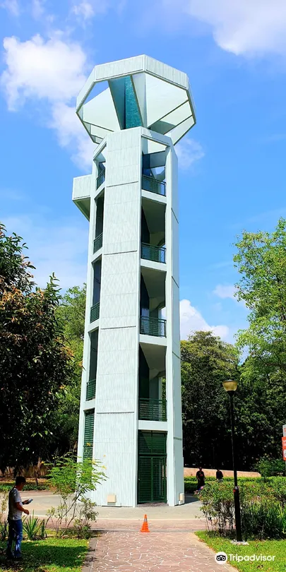 5_大巴窯市鎮公園