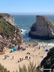 Shark Fin Cove