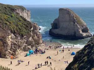 Shark Fin Cove