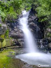 Khosrov Forest State Reserve