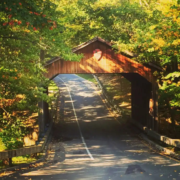 Hotels in Benzie County