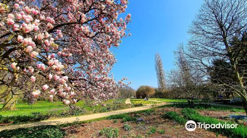 Botanischer Garten