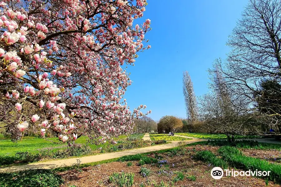 Botanischer Garten