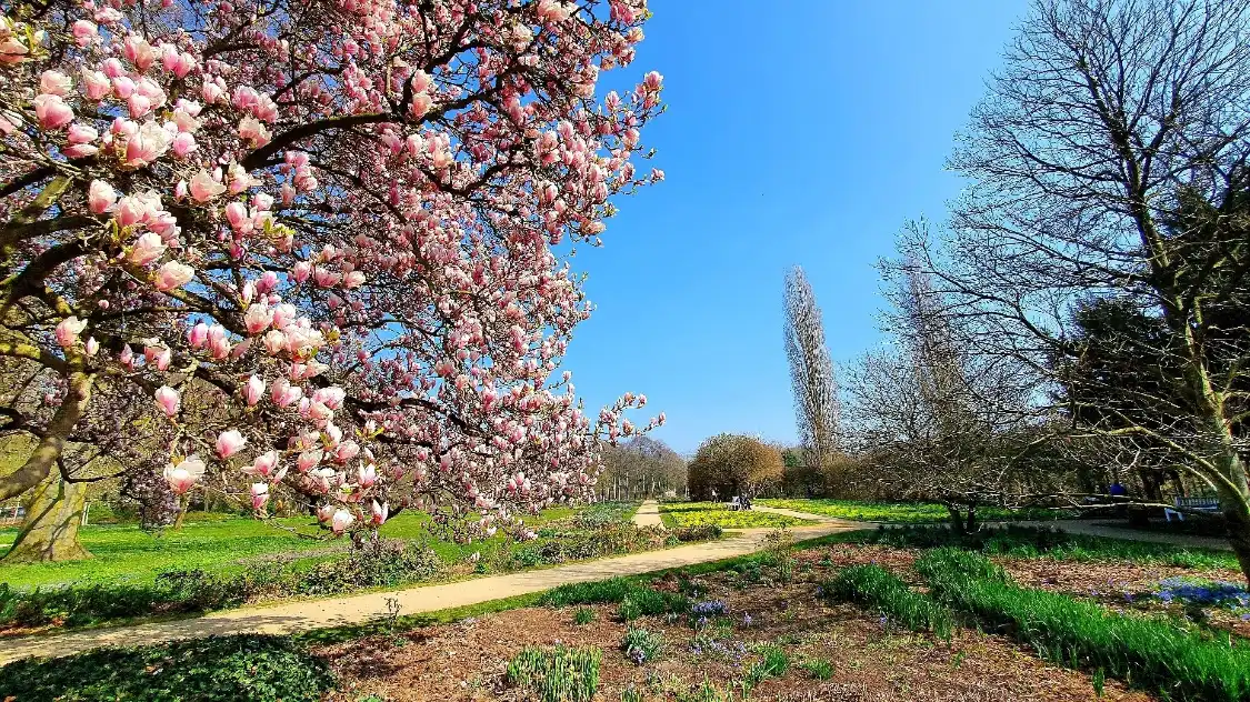 Hotels near Botanischer Garten