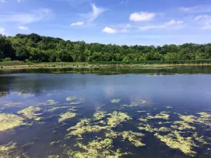 The Watershed Nature Center