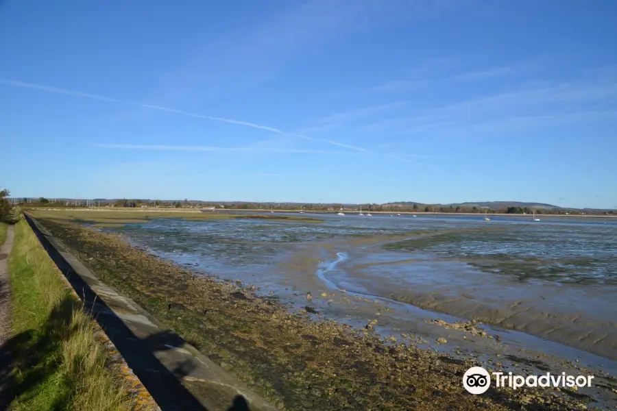 Thorney Island