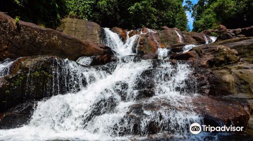 Kanneliya Rain Forest Reserve