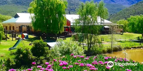 Wilgewandel Holiday Farm