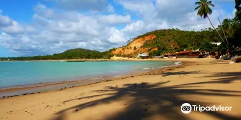 Barreiras do Boqueirao Beach