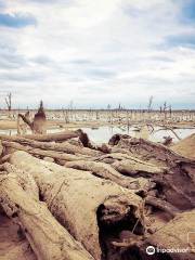 Lake Mulwala