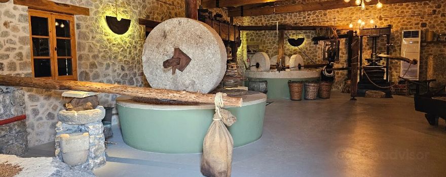 Mavroudis Olive oil (Corfu Olive Oil, Olive Oil Museum, Corfu Olive Tour)