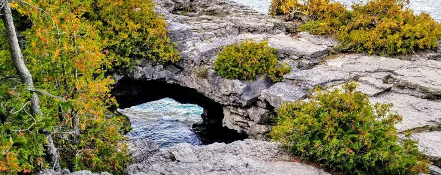 The Grotto